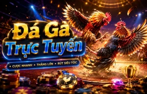 Giao diện đá gà todayswomanllc